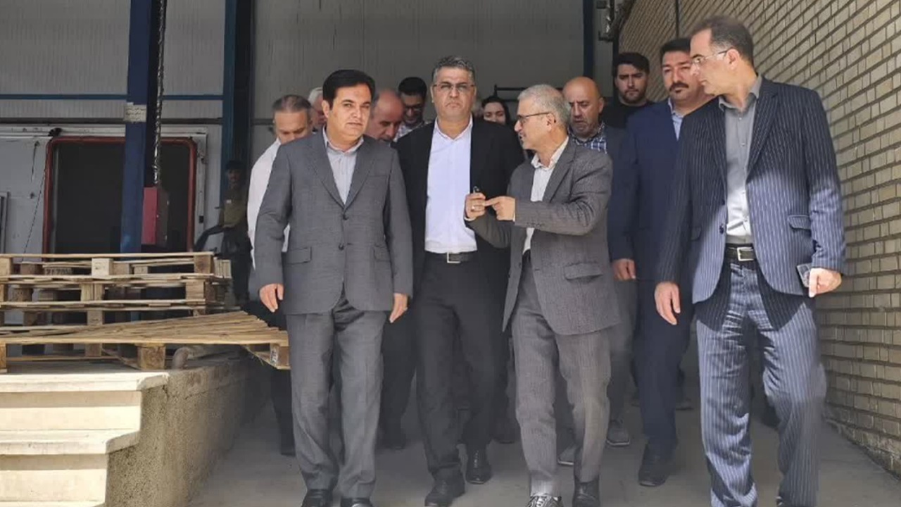 تسهیل مسیر جذب سرمایهگذاران کشاورزی در نظرآباد