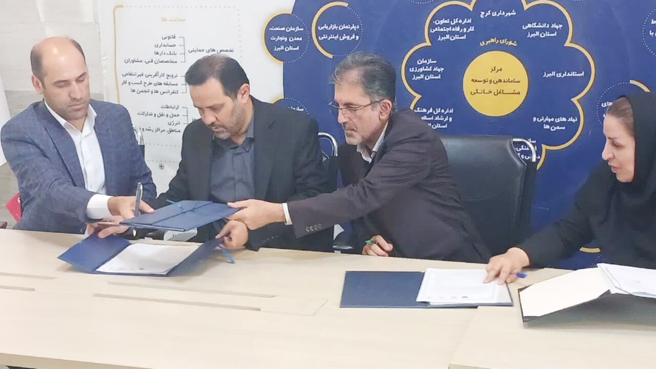 البرز الگوی ملی توسعه مشاغل خانگی میشود